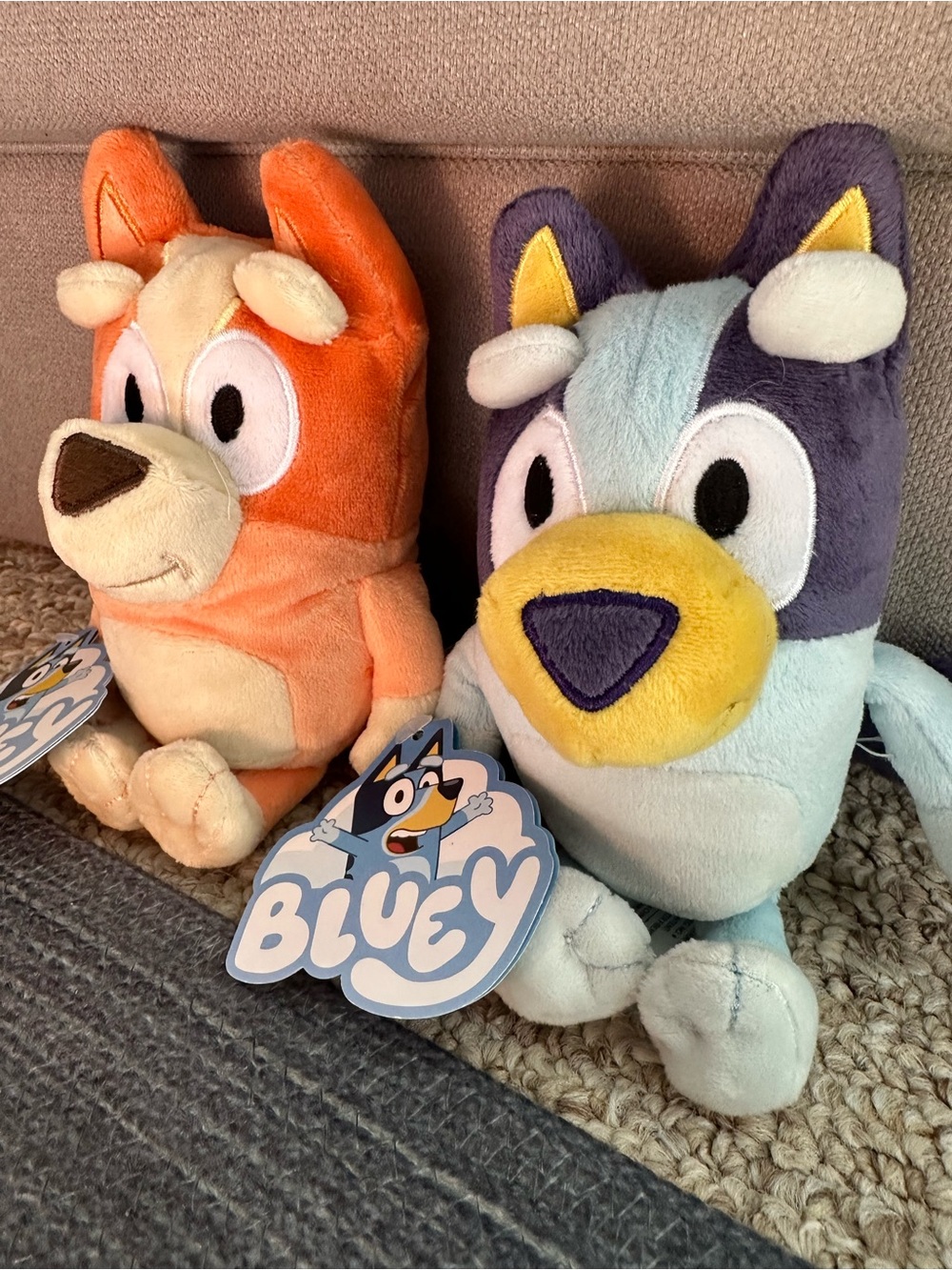 Bluey and Bingo Plush Toys